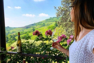 Amarone-vinsmagningstur. Besøg Verona. Fra Venedig