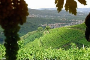 Tour de degustação de vinho Amarone. Visita Verona. A partir de Veneza