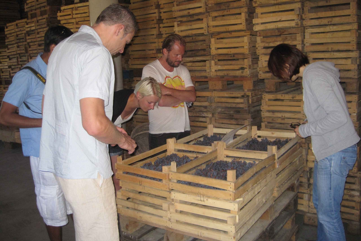 Amarone Wine Tour & Tasting Venetsiasta, Padovasta tai Veronasta käsin