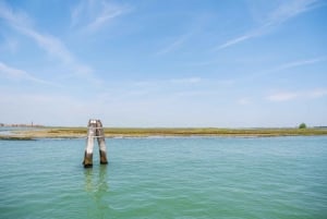 Tour della Basilica e del Palazzo Ducale con pranzo e Murano