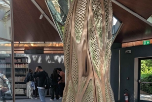 Biennale Architettura 2025 Intelligens Naturale Artificiale