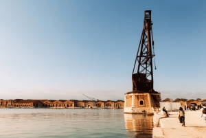 Biennale Architettura 2025 Intelligens Naturale Artificiale