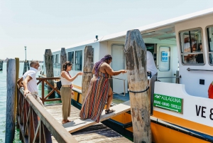 Boat Trip: Glimpse of Murano, Torcello & Burano Islands
