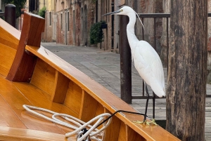 Esplora Murano Burano e Torcello in bragozzo tour delle isole