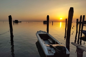Chioggia: Solnedgångstur i den venetianska lagunen med båt