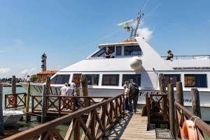 Chioggia-Venice: Day&Night Boat Transfer Round-Trip or 1-Way