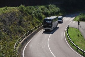 Bezpośredni autokar między dworcem kolejowym w Mestre a Cortiną