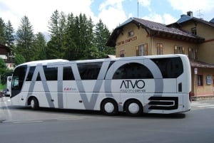 Suora linja-auto Venetsian lentokentältä Cortinaan