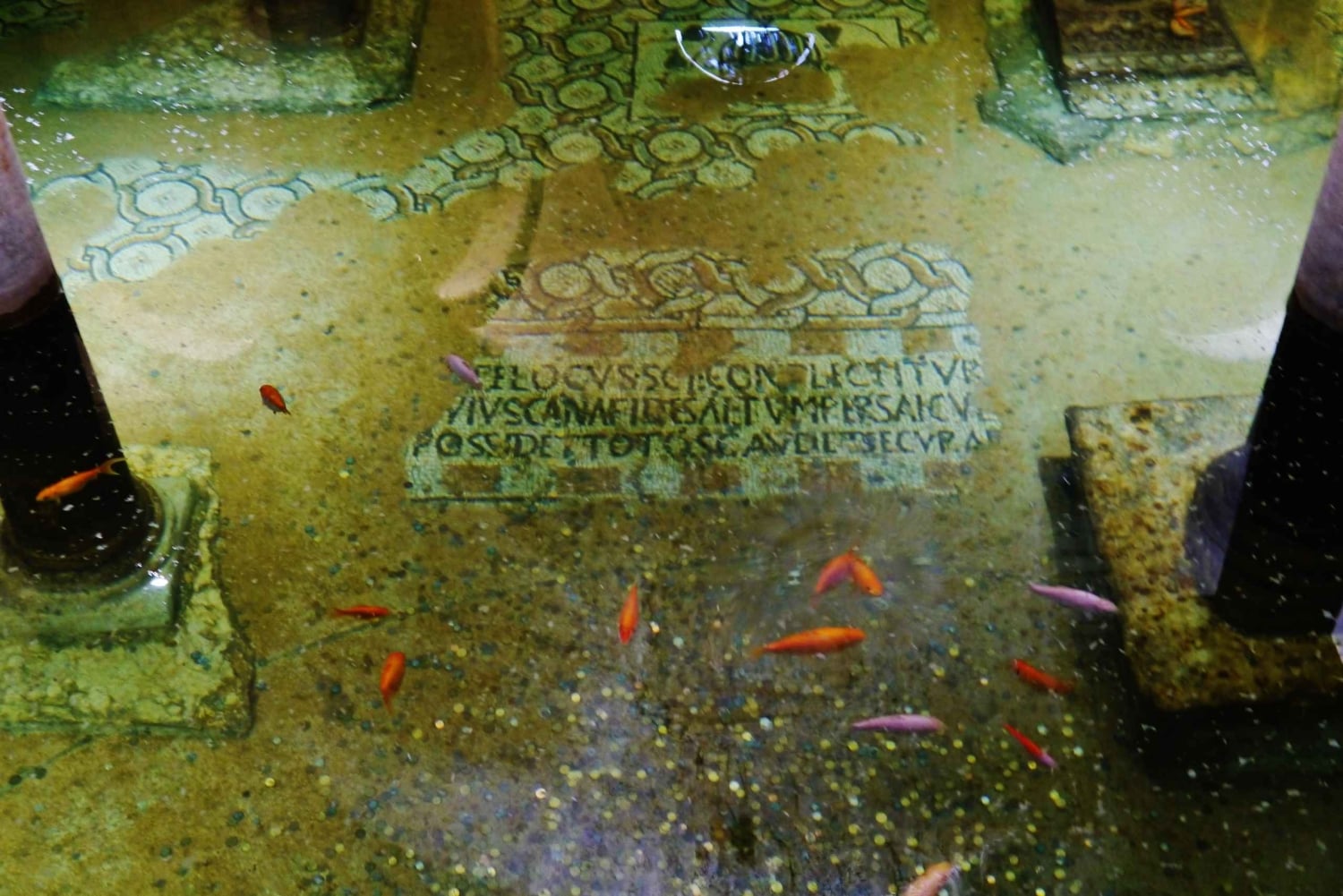 Tutustu Ravennaan matkalla Venetsiaan yksityisellä kuljetuksella