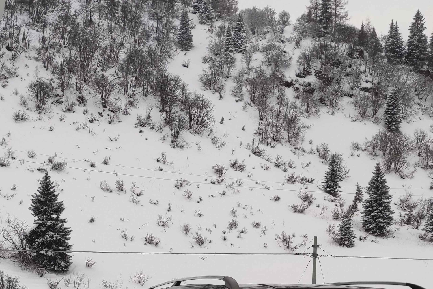 DOLOMITE DAY TOUR FROM VENICE