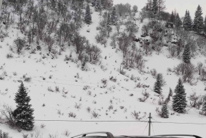 DOLOMITE DAY TOUR FROM VENICE