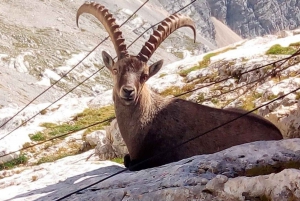 VENICE : Tour of Dolomites Vajont dam & Big Big Hole