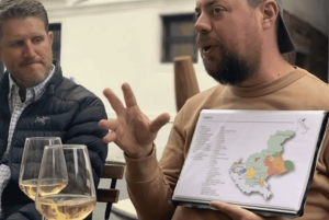 Tarde en Venecia con un local: tour gastronómico y cata de vinos