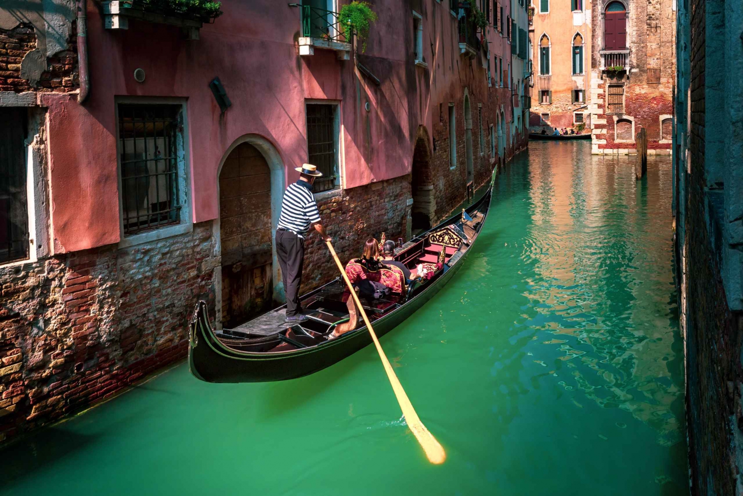 From Bologna: Private Venice Day Trip with Transfer