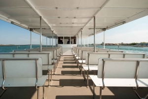 Vanuit Cavallino-Treporti: snelle cruise naar Venetië en terug