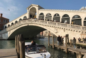 Fra Gardasøen: Heldags guidet gruppetur til Venedig