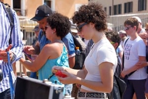 Dal Lago di Garda: Tour guidato della città e della laguna di Venezia