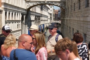 Dal Lago di Garda: Tour guidato della città e della laguna di Venezia