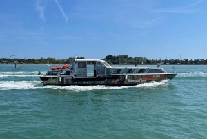 From Marco Polo Airport: Speedboat Transfer to Venice
