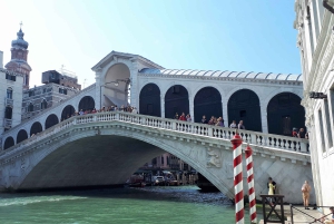 Da Milano: tour guidato di un giorno a Venezia con giro in barca