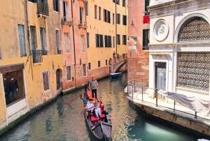 Da Milano: tour guidato di un giorno a Venezia con giro in barca