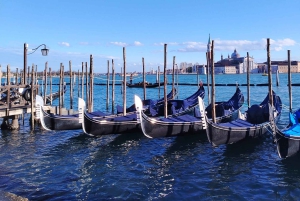 Da Milano: tour guidato di un giorno a Venezia con giro in barca