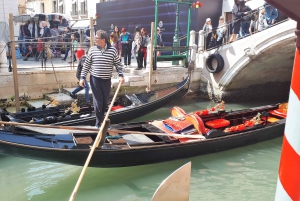 Da Milano: tour guidato di un giorno a Venezia con giro in barca
