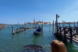 Da Milano: tour guidato di un giorno a Venezia con giro in barca