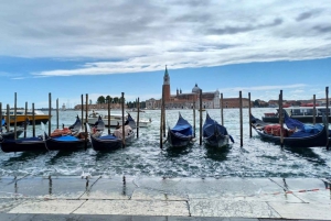 Da Milano: tour guidato di un giorno a Venezia con giro in barca