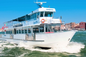 From Punta Sabbioni: Murano and Burano with stops