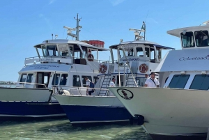 From Punta Sabbioni: Round-Trip Boat Transfer to Venice