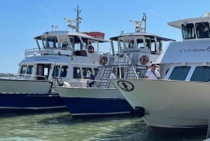 From Punta Sabbioni: Round-Trip Boat Transfer to Venice