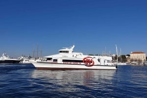 From Rovinj: Venice Boat Trip with Day or One-Way Option