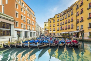 From Trieste Port: Private Venice Shore Excursion & Gondola