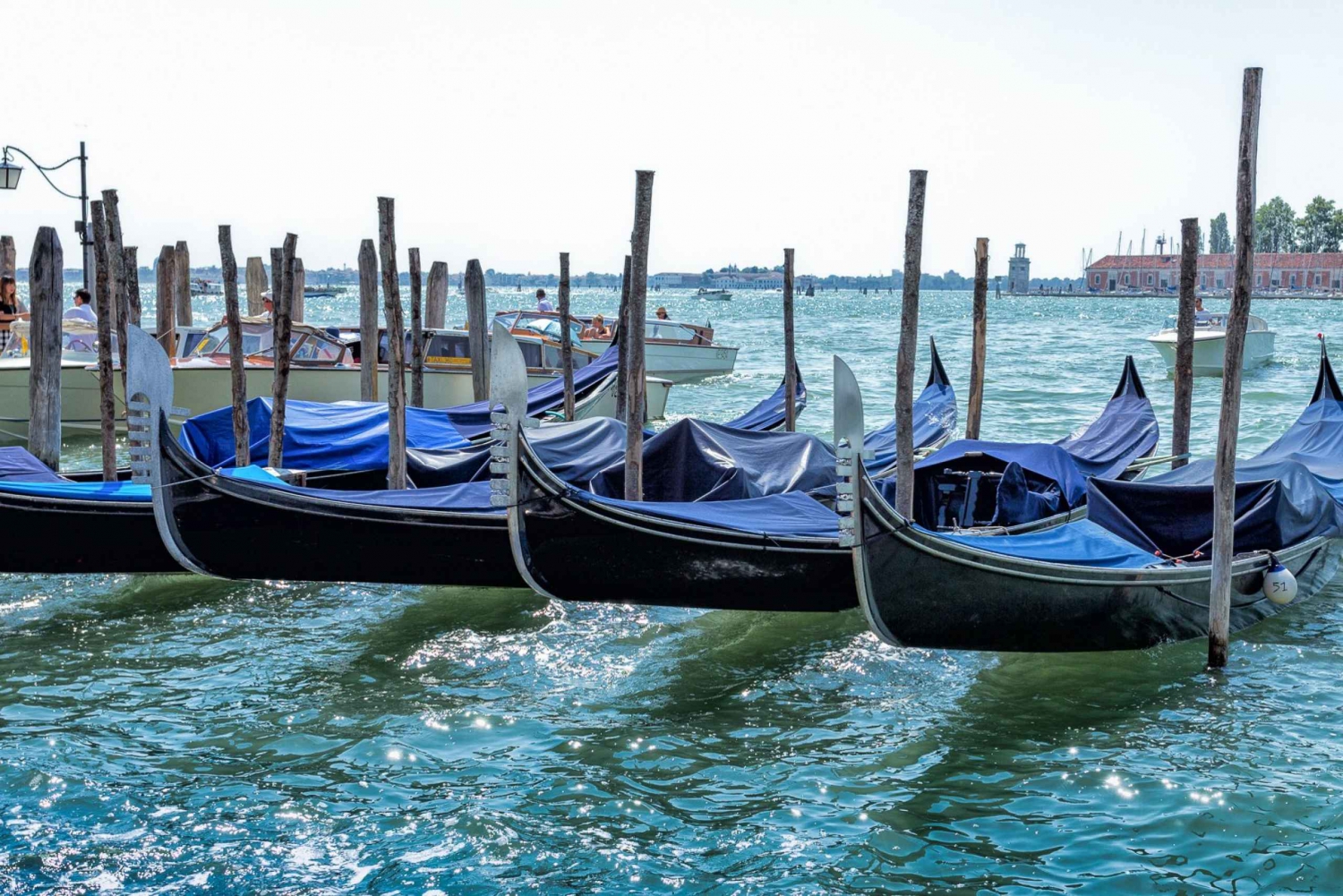 From Umag: Venice Boat Trip with Day or One-Way Option