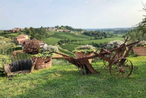 Veneza: Um dia cintilante nas colinas de Prosecco por Yellowboot