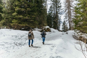 From Venice: Cortina and Dolomites Mountains Day Trip
