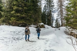 Da Venezia: Escursione di un giorno a Cortina e alle Dolomiti