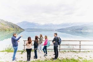 From Venice: Cortina and Dolomites Mountains Day Trip