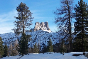 From Venice: Cortina and the Dolomites in One Day