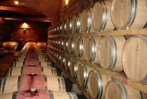 Von Venedig aus: Tagestour in die Weinregionen Amarone und Prosecco