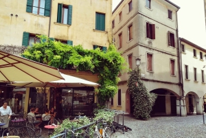 Fra Venedig: Dagsudflugt til Padua med privat guidet tur