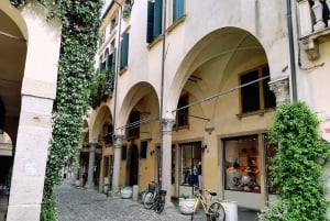 Fra Venedig: Dagsudflugt til Padua med privat guidet tur