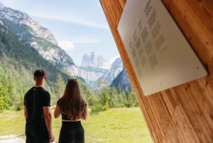 From Venice: Dolomites and Lake Braies Day Trip by Minivan