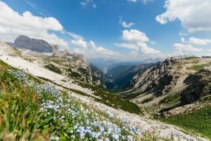 From Venice: Dolomites and Lake Braies Day Trip by Minivan