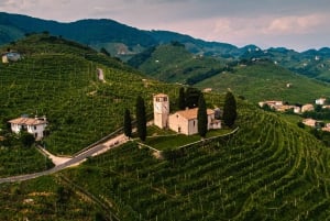 From Venice: Dolomites and Prosecco Hills Day Trip with Wine