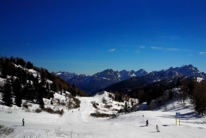 From Venice: Dolomites & Cortina d'Ampezzo Guided Tour