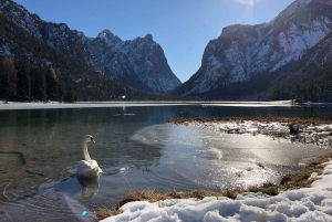 From Venice: Dolomites & Cortina d'Ampezzo Guided Tour