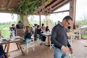 From Venice: Half-Day Prosecco Winery Tour