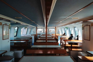From Venice: Murano and Burano Panoramic Boat Tour